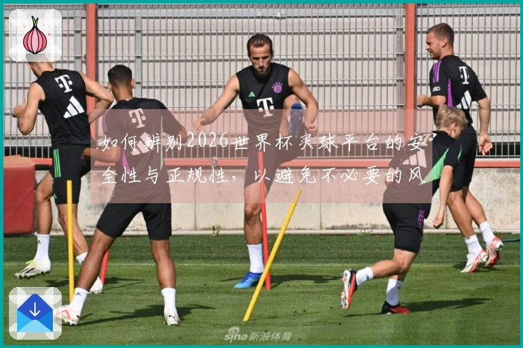如何辨别2026世界杯买球平台的安全性与正规性，以避免不必要的风险