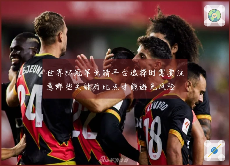 世界杯冠军竞猜平台选择时需要注意哪些关键对比点才能避免风险