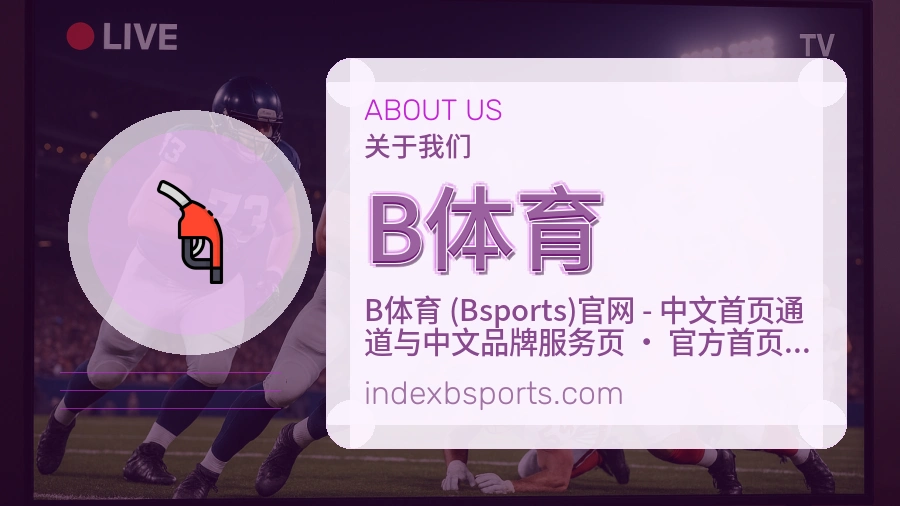 B体育关于平台与用户服务展示